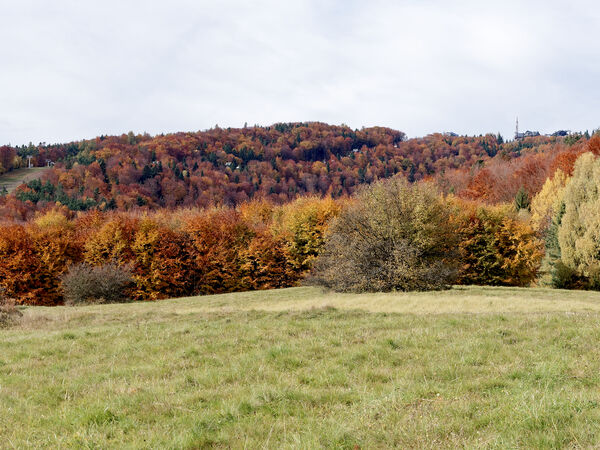 Stara pocztówka — Krynica-Zdrój