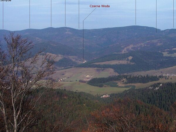 Panorama gór Beskid Sądecki